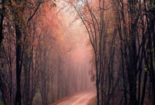 中国队拿下金牌榜、奖牌榜双料第一!亚冬会见证他们的“第一次”央视新闻客户端.