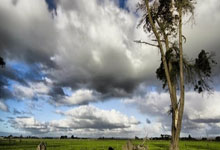 88体育官网:(哈尔滨亚冬会)中国体育代表团成立 谷爱凌等冬奥冠军出征中国新闻网.