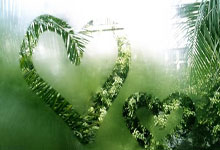 88体育官网:(哈尔滨亚冬会)中国体育代表团成立 谷爱凌等冬奥冠军出征中国新闻网.